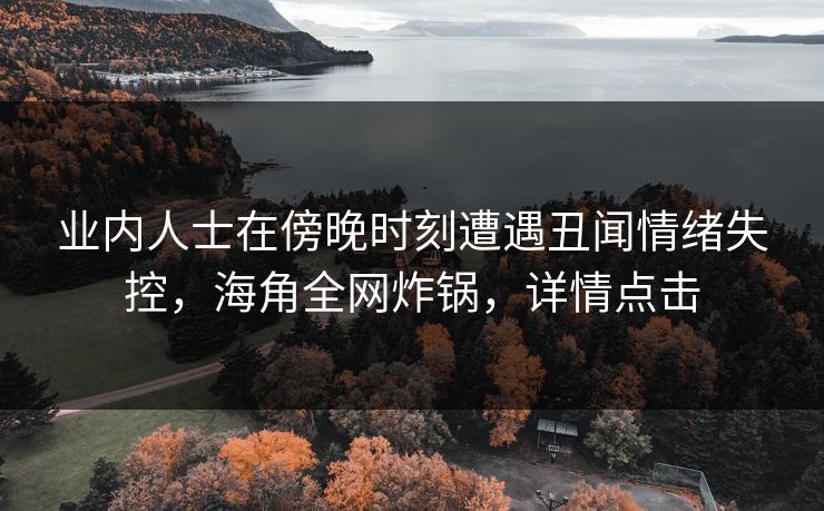 业内人士在傍晚时刻遭遇丑闻情绪失控，海角全网炸锅，详情点击