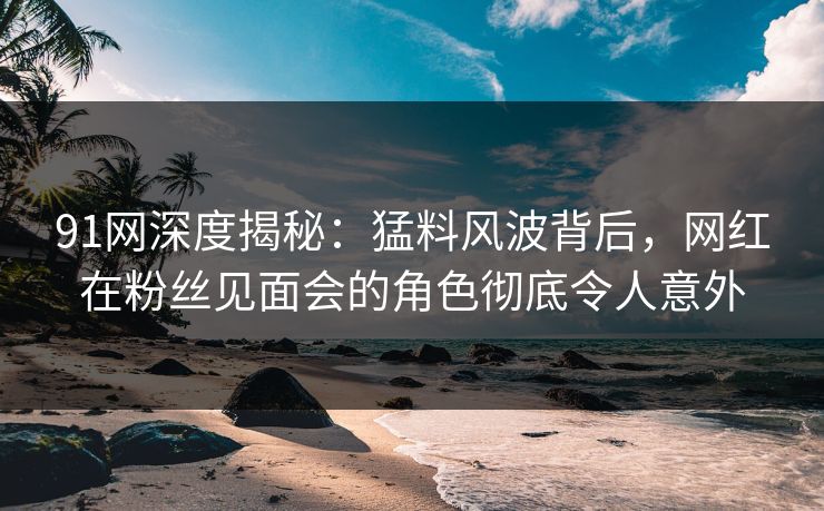 91网深度揭秘：猛料风波背后，网红在粉丝见面会的角色彻底令人意外