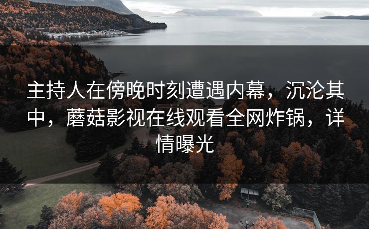 主持人在傍晚时刻遭遇内幕，沉沦其中，蘑菇影视在线观看全网炸锅，详情曝光