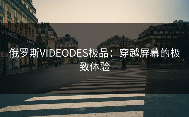 俄罗斯VIDEODES极品：穿越屏幕的极致体验